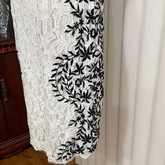 Adrianna Papell White Lace black embroidered sides Midi sheath Dress  V neck 6 - Picture 7 of 16